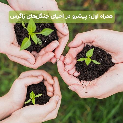 همراه-اول-پیشرو-در-احیای-جنگل-های-زاگرس